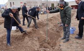 Tree planting event held at IASBS marking National Tree Planting Day