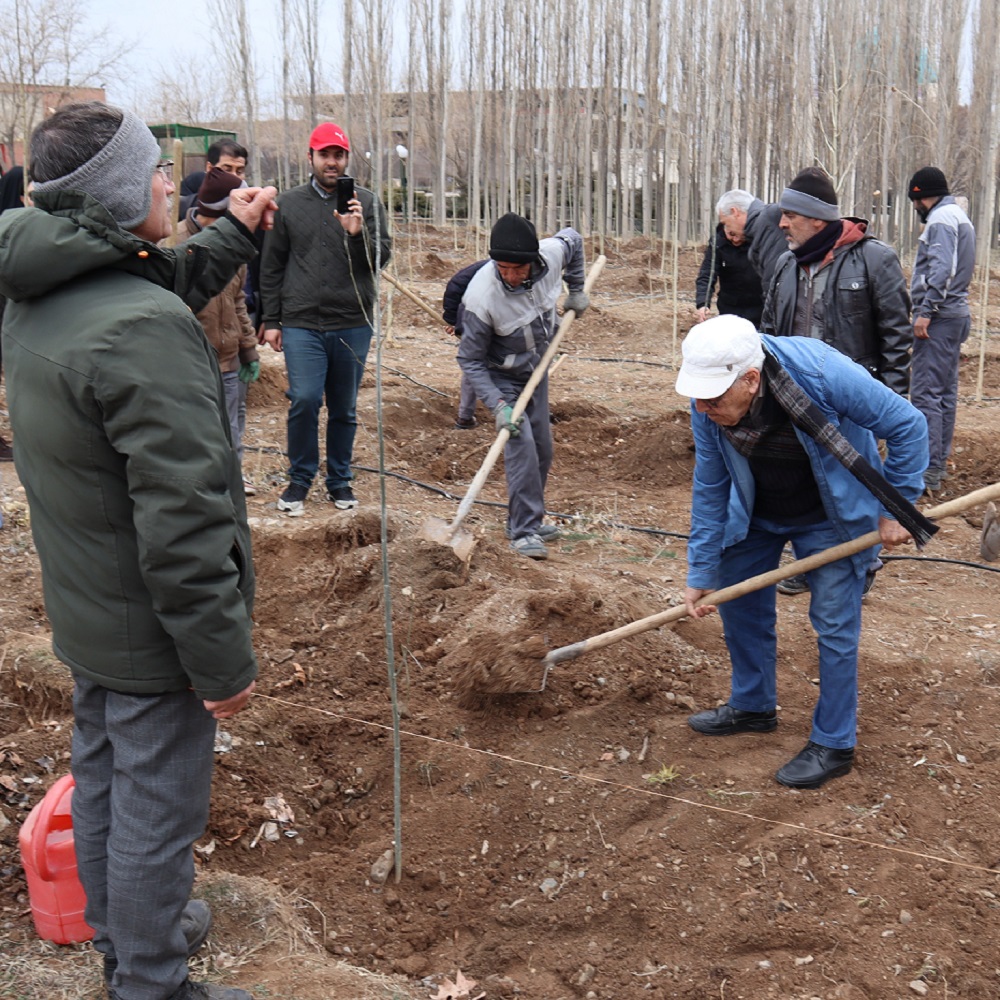 Tree planting event held at IASBS marking National Tree Planting Day
