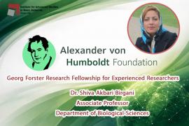 عضو هیئت علمی دانشگاه تحصیلات تکمیلی علوم پایه زنجان موفق به دریافت فلوشیپ بنیاد الکساندر فون هومبولت شد