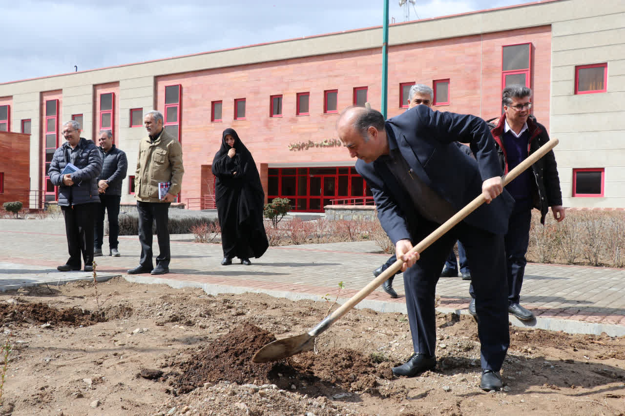 IASBS holds sapling planting ceremony in memory of country's student martyrs