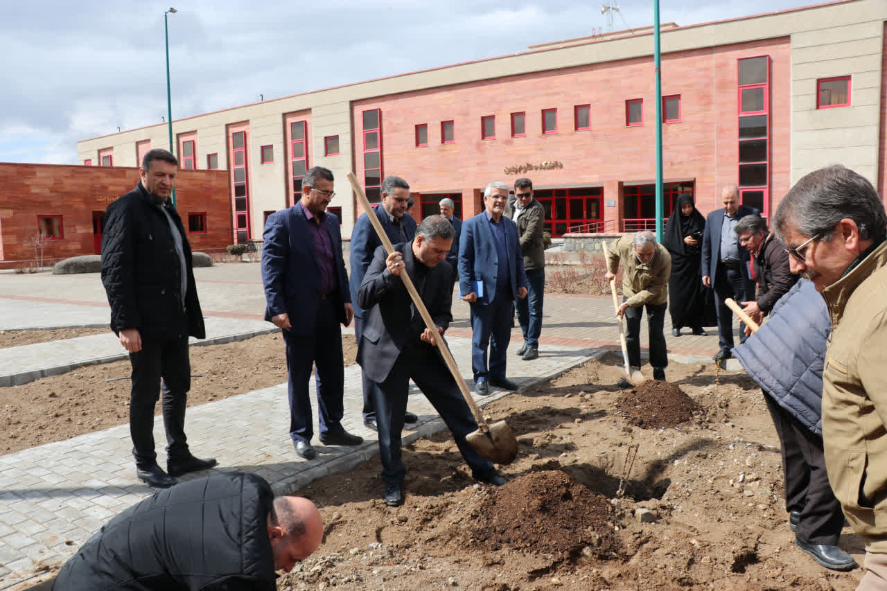 IASBS holds sapling planting ceremony in memory of country's student martyrs