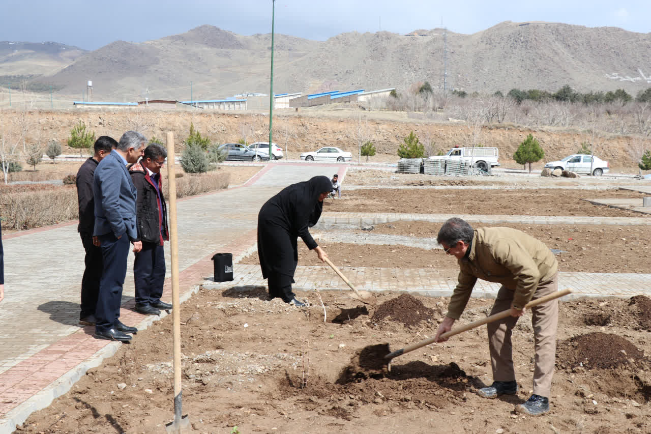 IASBS holds sapling planting ceremony in memory of country's student martyrs