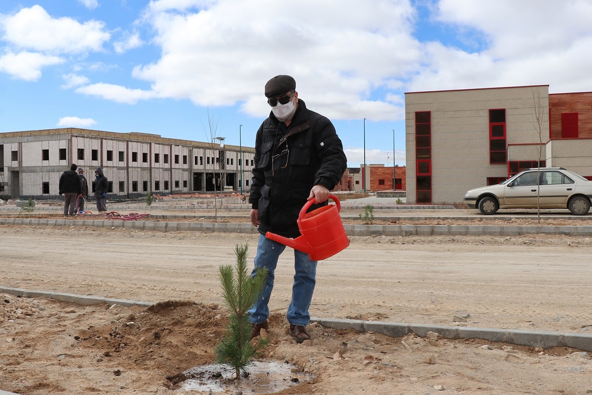 Young trees planted at IASBS; health protocols & social distancing observed