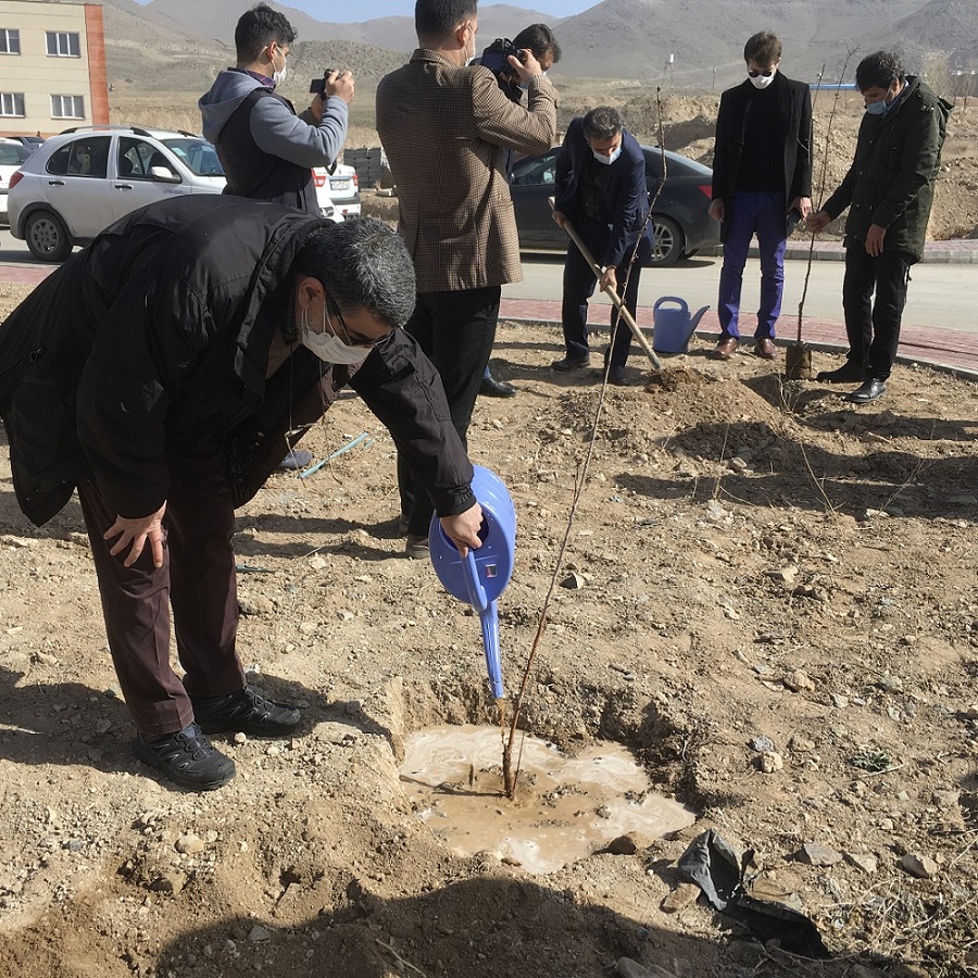 Young trees planting ceremony held at IASBS under health & social distancing protocols
