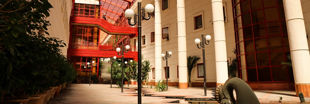 Approvals Councils Section