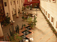 View of the Physics Department